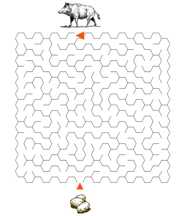 Labirynty dla dzieci dzik