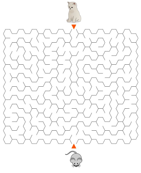 Labirynty sze�ciok�tne �rednie kot do druku