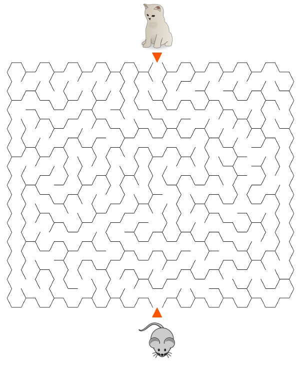 Labirynty sze�ciok�tne �rednie kot