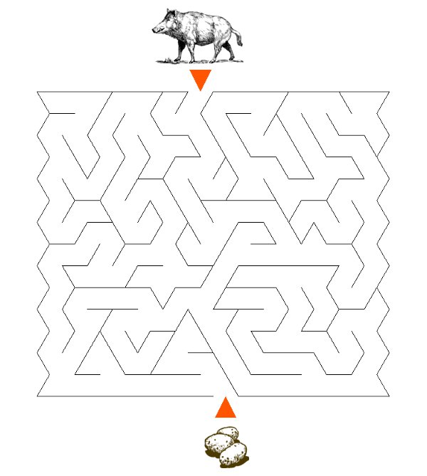 Labirynty dla dzieci �atwe dzik- do druku