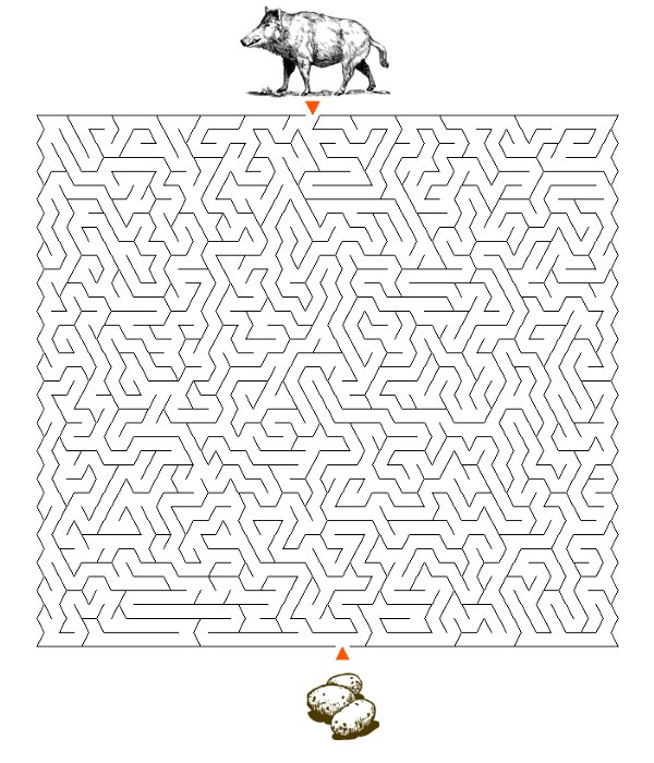 Labirynty dla dzieci dzik