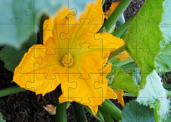 Puzzle dla wykonania dla dziewczynek - kwiat