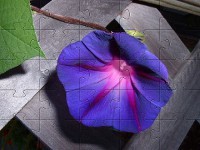 Puzzle dla dziewczynek - kwiat