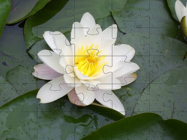 Puzzle dla dziewczynek - kwiatek