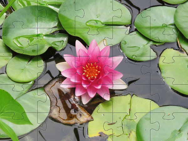 Puzzle do pobrania - lilia