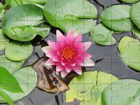 Puzzle do pobrania - lilia