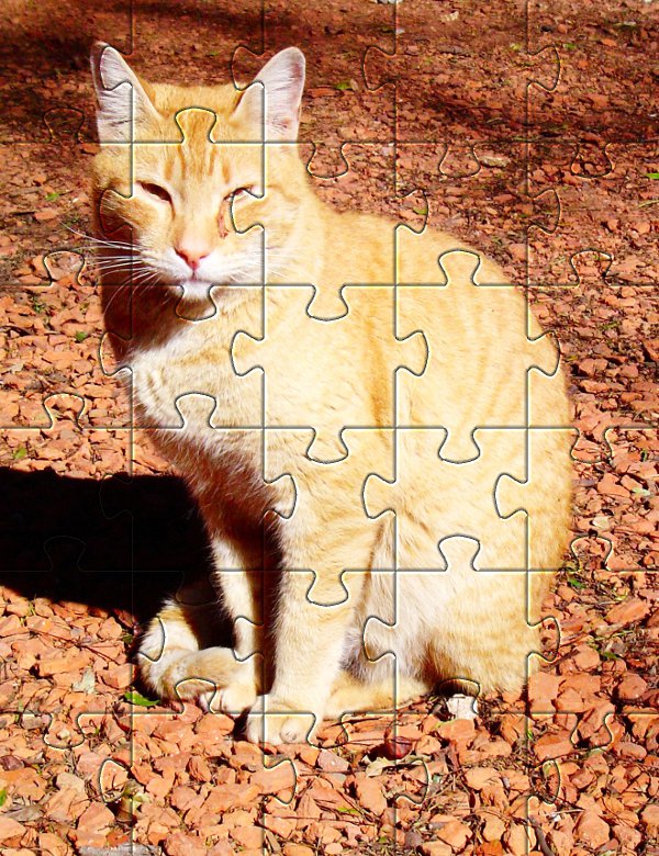 Puzzle do samodzielnego wykonania - kot