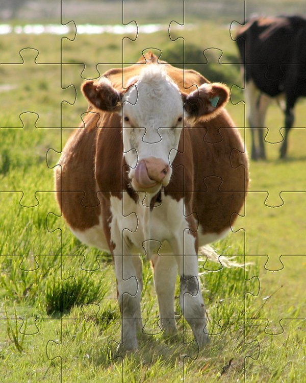 Puzzle zwierzta - krowa