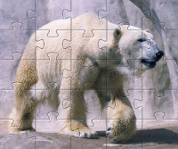 Puzzle zwierzęta - miś